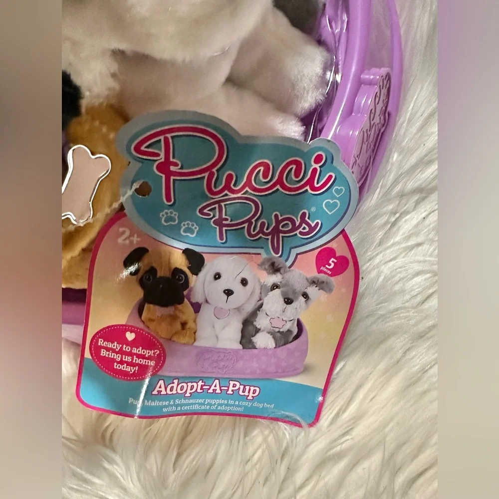 Pucci Pups - Picture 4 of 6